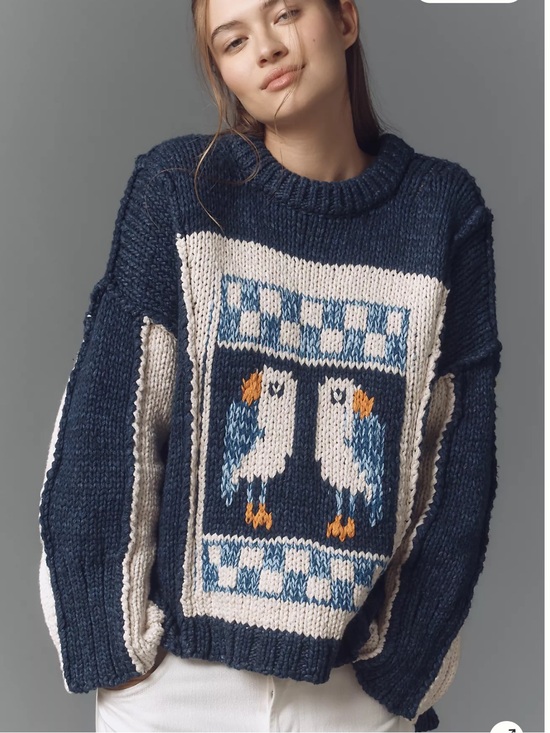 Anthropologie Sweaters - Anthropologie Pilcro Chunky Crew Neck Puffin Bird Sweater